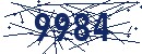 CAPTCHA verification code